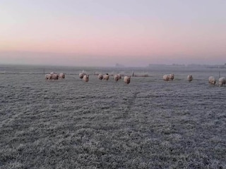 Ferienpark Terkaple Umgebung 20