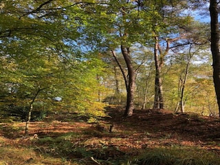 Vakantiepark Terkaple Omgeving 32