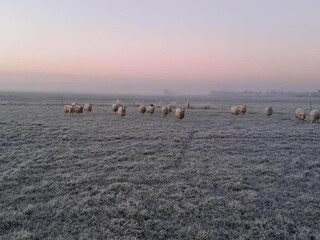 Parque de vacaciones Terkaple Entorno 24