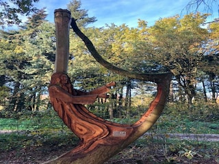 Ferienpark Terkaple Umgebung 31