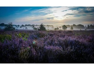 Parc de vacances Holten Environnement 26