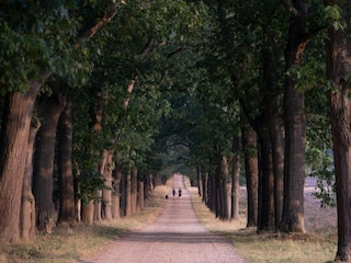Ferienpark Holten Umgebung 32