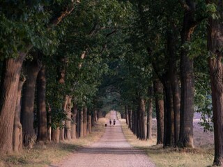 Parc de vacances Holten Environnement 35