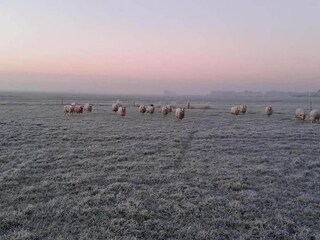 Ferienpark Terkaple Umgebung 20
