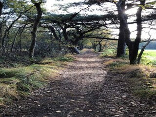 Vakantiepark Terkaple Omgeving 17