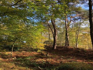 Parc de vacances Terkaple Environnement 21