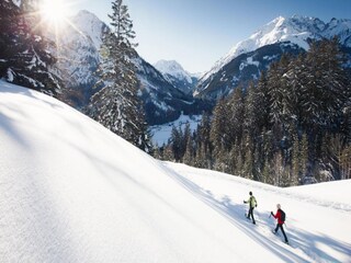 Appartement Steeg Omgeving 21