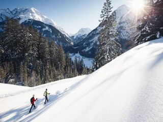 Appartement Steeg Environnement 29