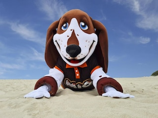 Ferienpark Merlimont  37