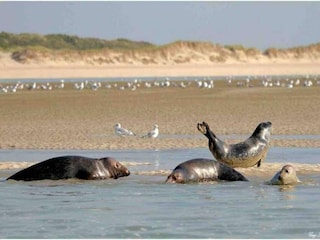 Ferienpark Merlimont Umgebung 21