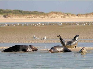 Vakantiepark Merlimont Omgeving 19