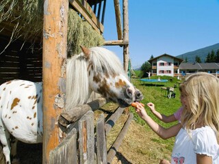 Ferienpark Altenmarkt Umgebung 23