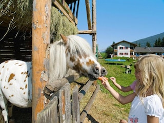 Ferienpark Altenmarkt Umgebung 24