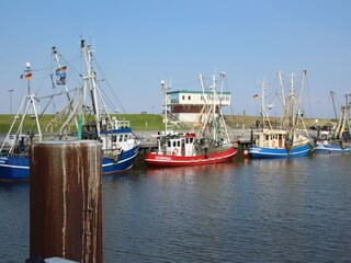 Vakantiehuis Utarp Omgeving 21