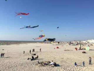 Vakantiepark Merlimont Omgeving 21