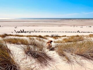 Vakantiepark Merlimont Omgeving 17