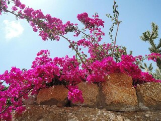 Vakantiepark Poris de Abona  20