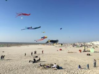 Vakantiepark Merlimont Omgeving 32