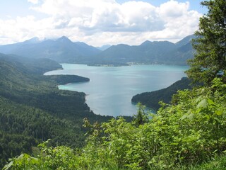Blick vom Rautberg auf den Walchensee
