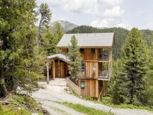 Holiday park Chalet auf der Turracherhöhe mit Sauna - Murau - image1