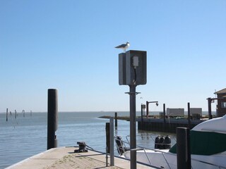 Bungalow Dornumersiel Umgebung 26