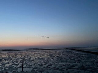 Bungalow Dornumersiel Environment 36