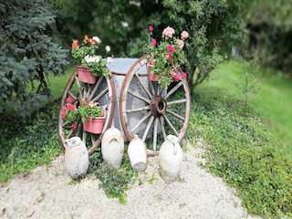 Parco vacanze Welt Registrazione all'aperto 3