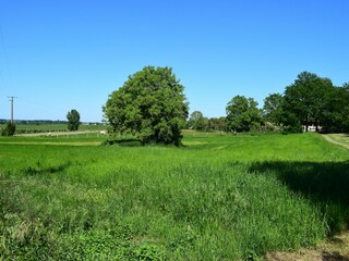 Parco vacanze Welt Registrazione all'aperto 11