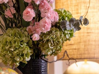 Parque de vacaciones Welt Entorno 28