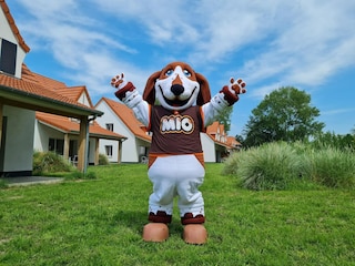 Holiday park Merlimont  36
