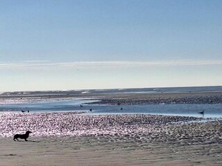 Parco vacanze Merlimont Ambiente 27