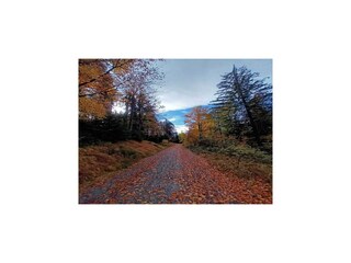 Holiday park Neureichenau  31