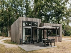 Vakantiepark Moderne lodge met combimagnetron in een groene omgeving - Reek - image1