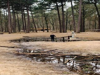 Parc de vacances Reek Environnement 14