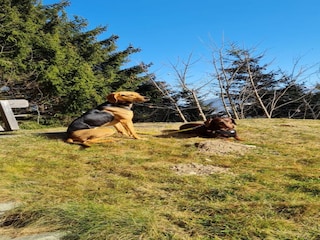 Ferienhaus Altenmarkt  36