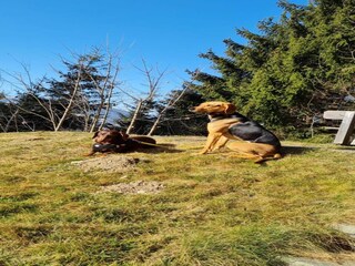 Casa per le vacanze Altenmarkt Ambiente 33