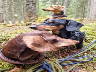 Casa per le vacanze Altenmarkt Ambiente 35