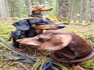 Ferienhaus Altenmarkt Umgebung 30