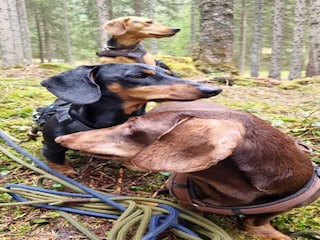 Ferienhaus Altenmarkt Umgebung 33