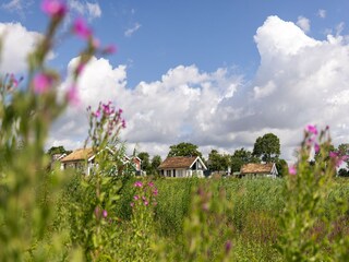 Parco vacanze Sierksdorf Ambiente 22