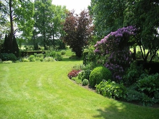 Vakantiepark Enter Omgeving 31