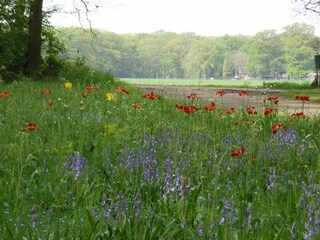 Ferienpark Enter Umgebung 28