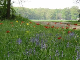 Vakantiepark Enter Omgeving 28