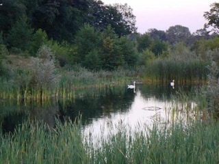 Ferienpark Enter Umgebung 25