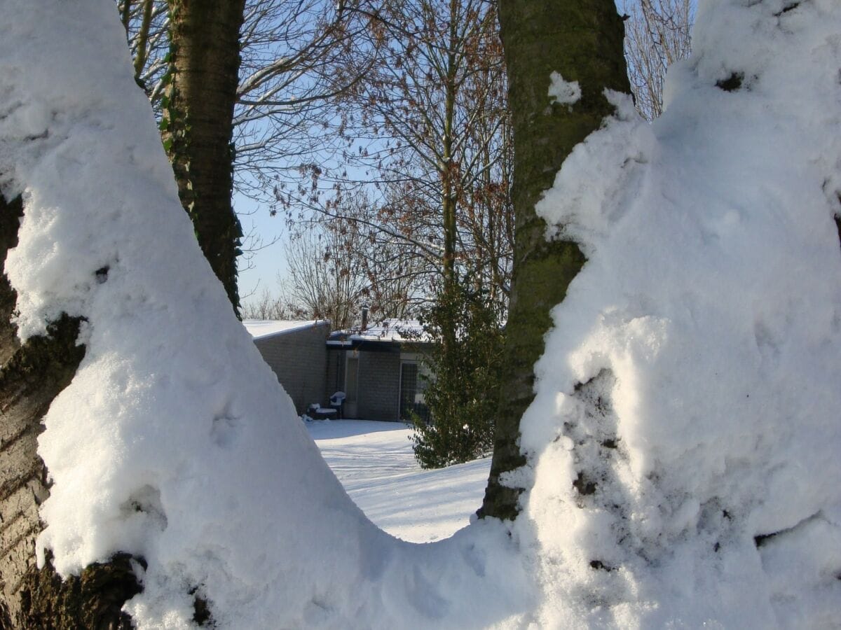 Ferienpark Walem Außenaufnahme 3