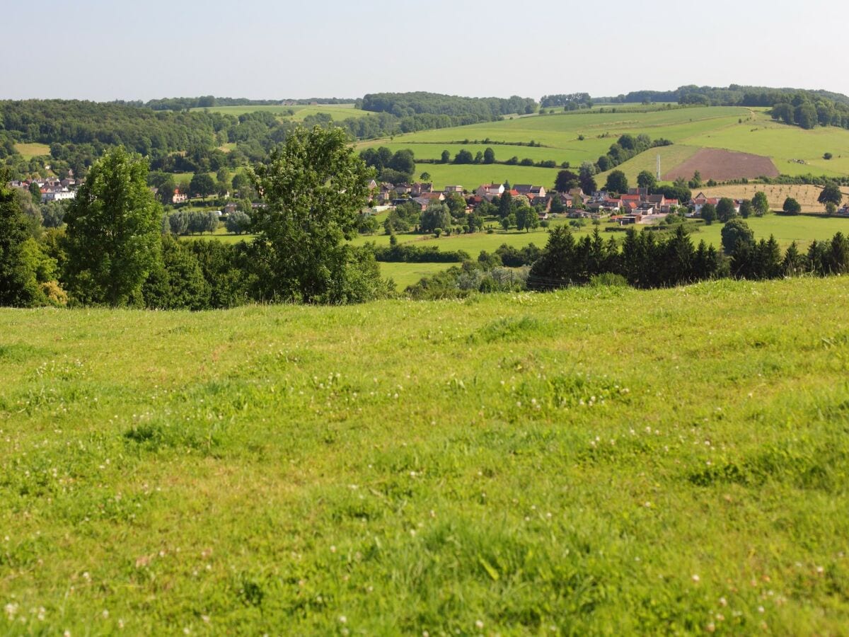 Ferienpark Walem Umgebung 14