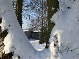 Vakantiepark Walem Buitenaudio-opname 7