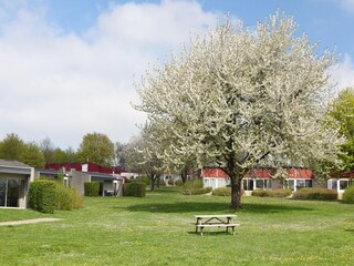 Vakantiepark Walem Buitenaudio-opname 3