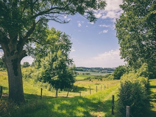 Vakantiepark Walem Omgeving 16