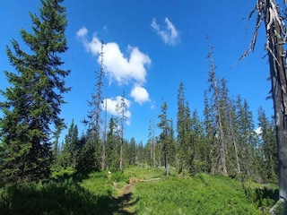 Apartment Filzmoos Umgebung 10